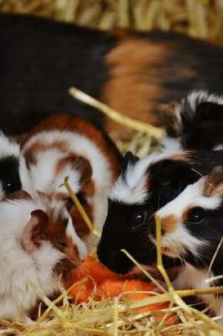 Cover of Guinea Pig Dinner Time of Carrots