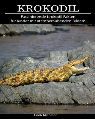 Book cover for Krokodil