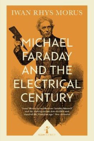 Cover of Michael Faraday and the Electrical Century (Icon Science)