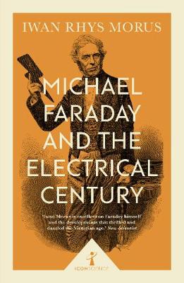 Book cover for Michael Faraday and the Electrical Century (Icon Science)