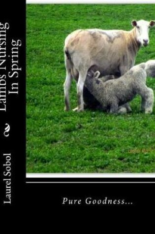 Cover of Lambs Nursing In Spring
