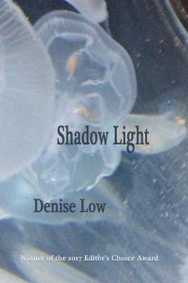 Book cover for Shadow Light