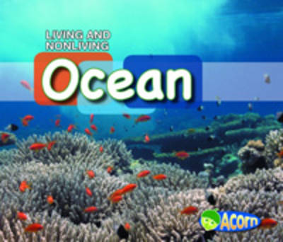 Book cover for In the Ocean