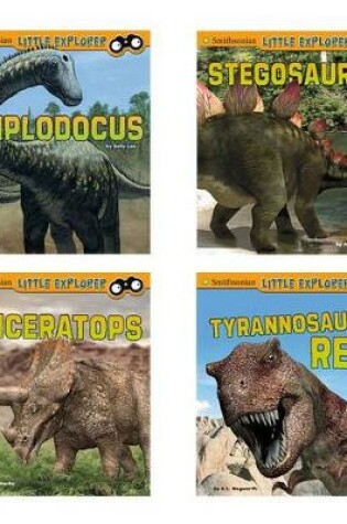 Cover of Little Paleontologist