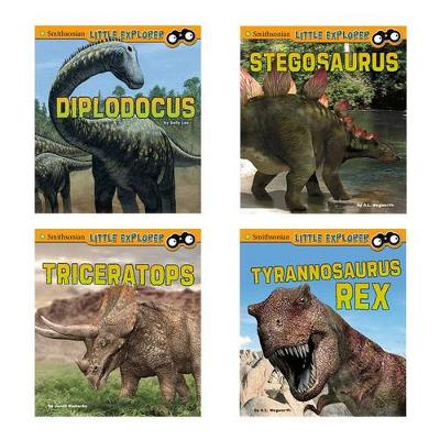 Book cover for Little Paleontologist