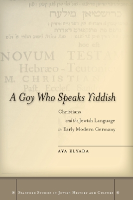 Book cover for A Goy Who Speaks Yiddish