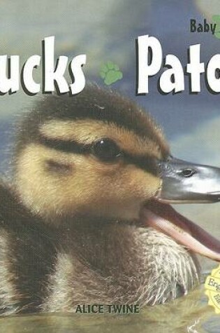 Cover of Ducks / Patos
