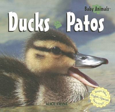 Book cover for Ducks / Patos
