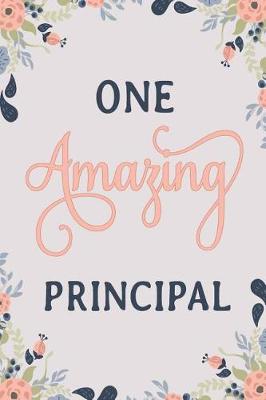 Book cover for One Amazing Principal