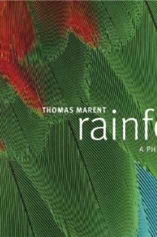 Cover of Rainforest Postcard Book