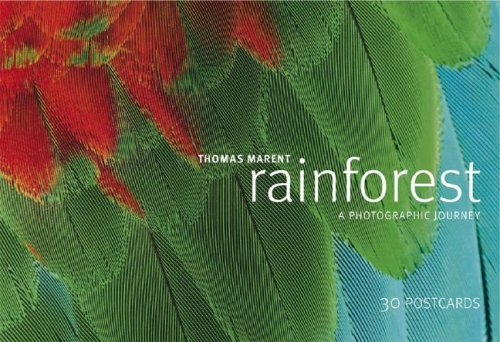 Book cover for Rainforest Postcard Book