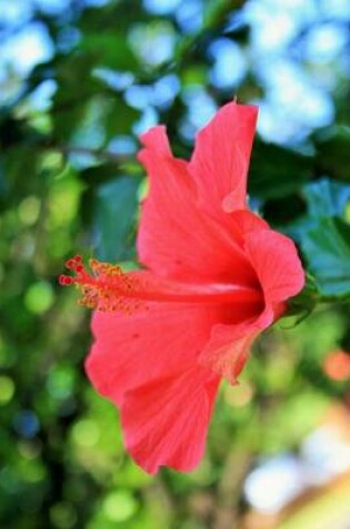 Cover of Pink Hibiscus Side View (for the Love of Flowers)