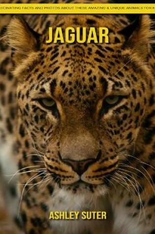 Cover of Jaguar