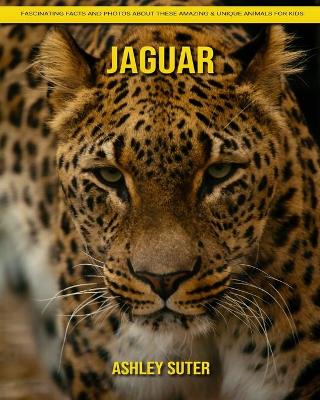 Book cover for Jaguar