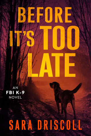 Cover of Before It's Too Late