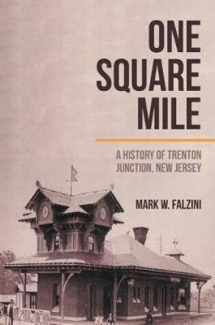Cover of One Square Mile