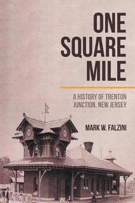 Book cover for One Square Mile