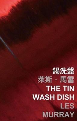 Book cover for The Tin Wash Dish