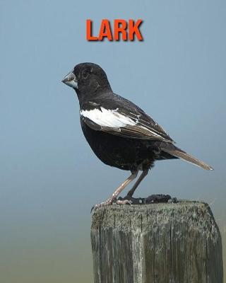 Book cover for Lark