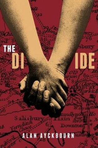 Cover of The Divide