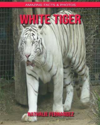 Book cover for White Tiger