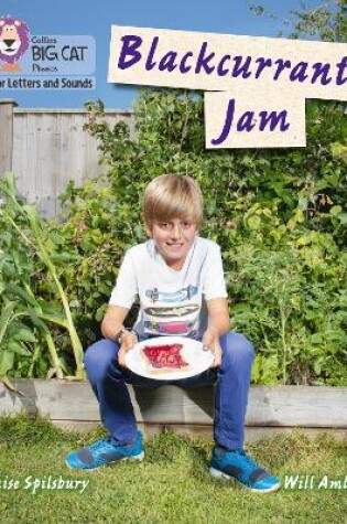 Cover of Blackcurrant Jam