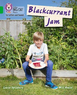 Book cover for Blackcurrant Jam