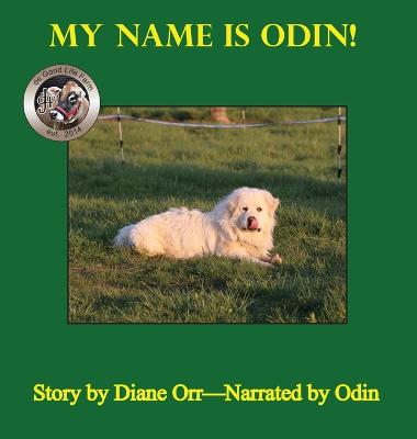 Book cover for My Name is Odin