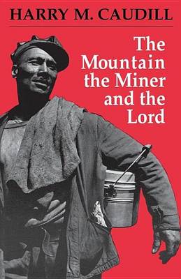 Book cover for The Mountain, the Miner, and the Lord and Other Tales from a Country Law Office