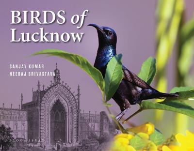 Book cover for Birds of Lucknow