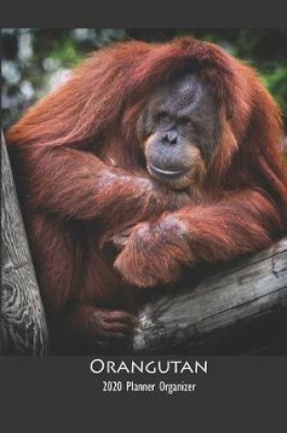 Cover of Orangutan 2020 Planner Organizer