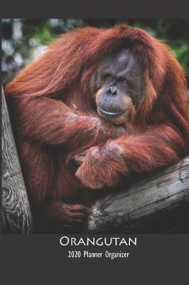 Book cover for Orangutan 2020 Planner Organizer