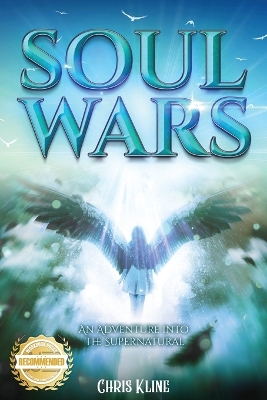 Book cover for Soul Wars