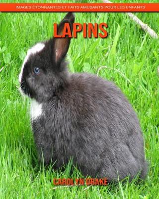Book cover for Lapins