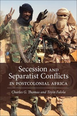 Book cover for Secession and Separatist Conflicts in Postcolonial Africa