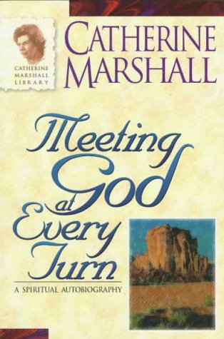 Book cover for Meeting God at Every Turn