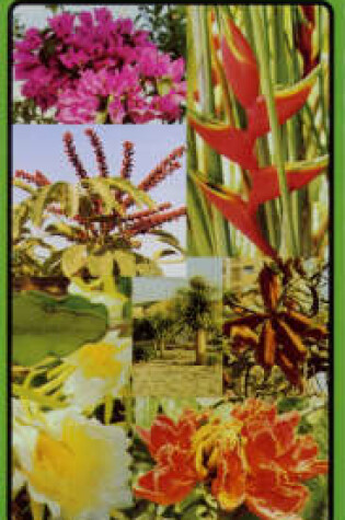 Cover of Plants and Flowers of Tenerife