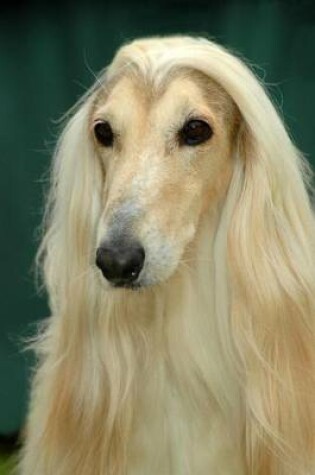 Cover of Afghan Hound Dog Portrait Journal