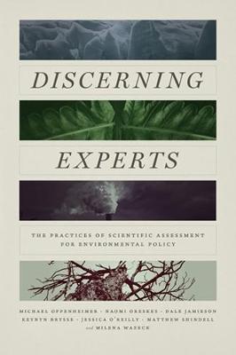 Book cover for Discerning Experts