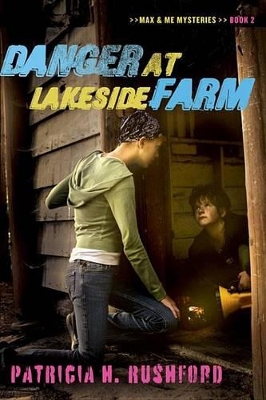 Book cover for Danger at Lakeside Farm
