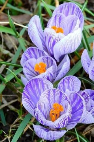 Cover of Crocus Flower Blooms in the Ground Journal