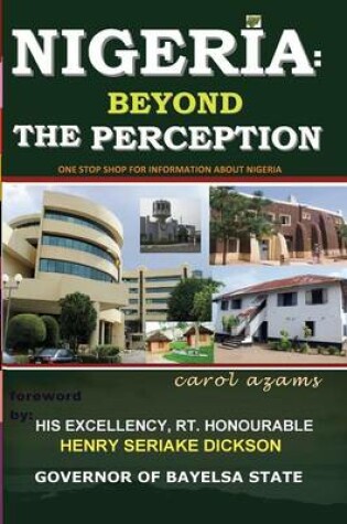 Cover of Nigeria Beyond The Perception
