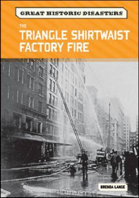 Book cover for The Triangle Shirtwaist Factory Fire