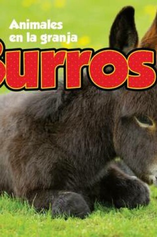 Cover of Burros
