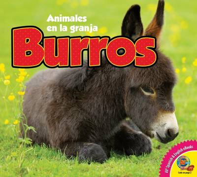 Cover of Burros