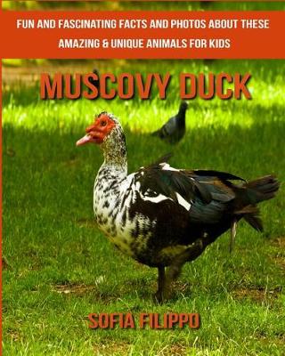 Book cover for Muscovy Duck