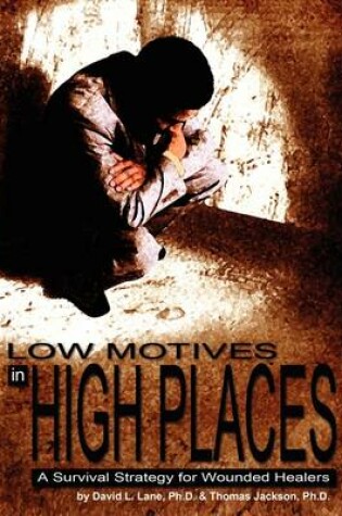 Cover of Low Motives in High Places