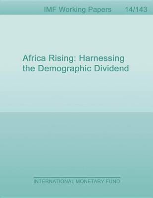 Book cover for Africa Rising