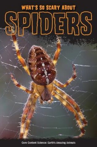 Cover of What's So Scary about Spiders?