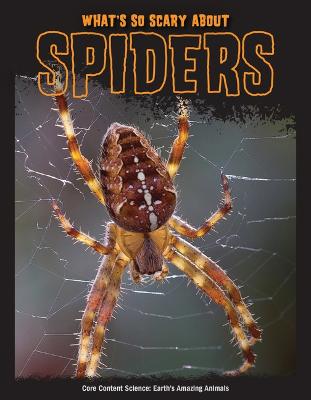 Book cover for What's So Scary about Spiders?